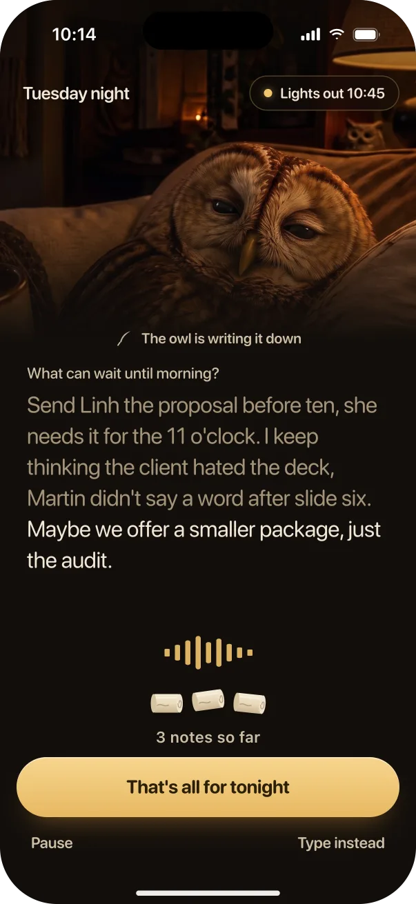 Pillowbird listening: the words appear as they are said, with 3 notes so far.