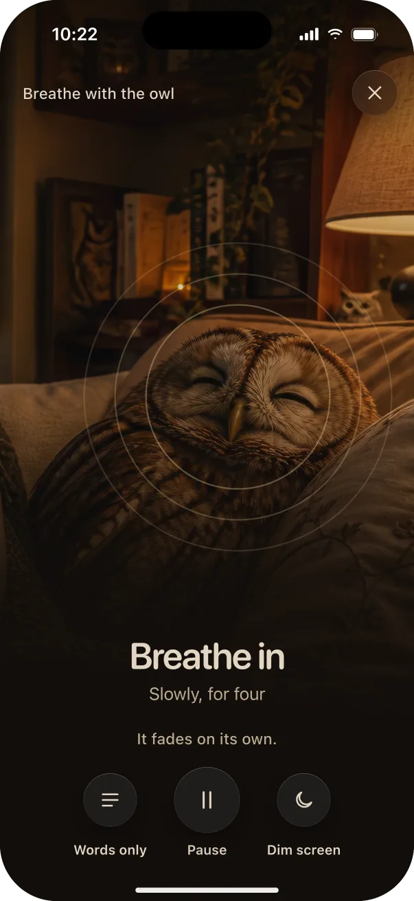 Breathe with the owl: rings that follow the breath, with Pause and Dim screen.